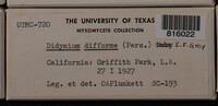Image Associated With the Occurence